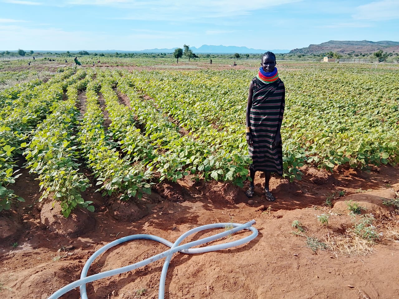 Turkana farmer on the Nomad Agriculture farm